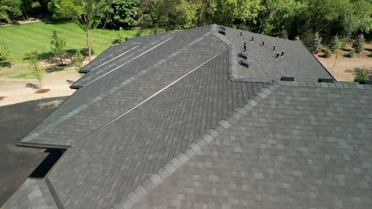 Best Chimney Flashing Repair  in Alamosa, CO