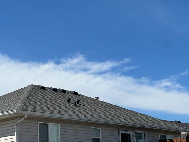 Best Roof Waterproofing  in Alamosa, CO